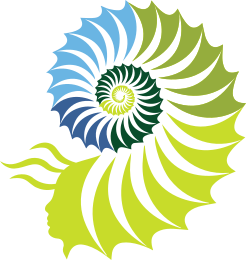 wild spirit logo woman's face emerging from a seashell
